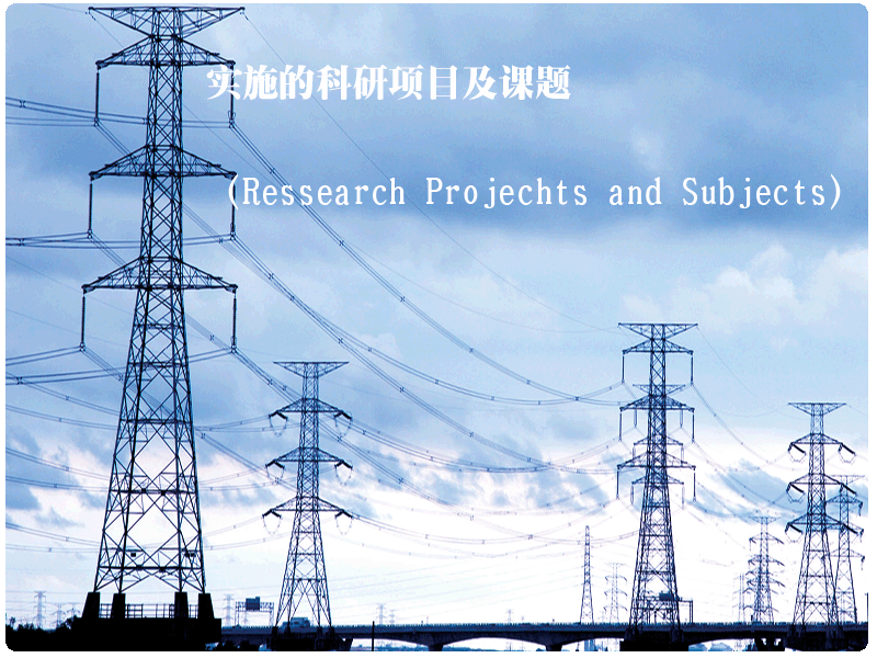 實施的科研項目及課題(Ressearch Projechts and Subjects)